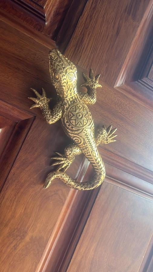 Salamandra Carboneras Luaran gambar
